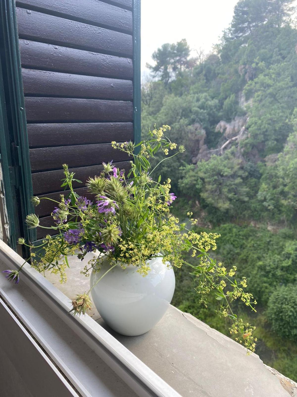 Grand Appartments Sappia 尼斯 外观 照片