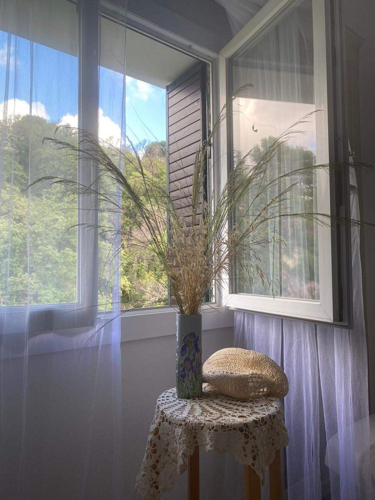 Grand Appartments Sappia 尼斯 外观 照片